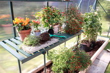 Fällbord Växthus 1200 x 500 x 750 mm Grön Vitavia